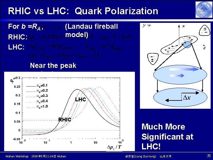 RHIC vs LHC: Quark Polarization For b =RA , RHIC: LHC: (Landau fireball model)