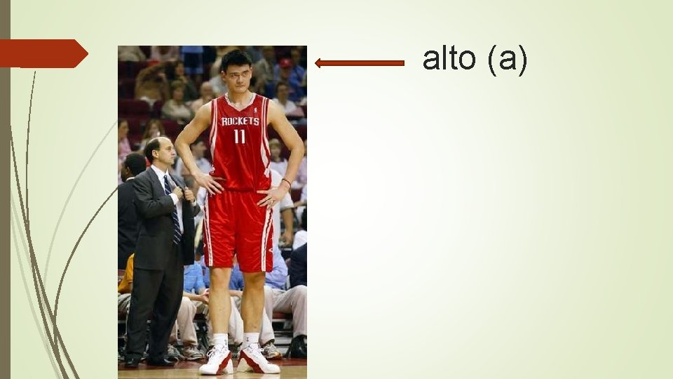alto (a) 