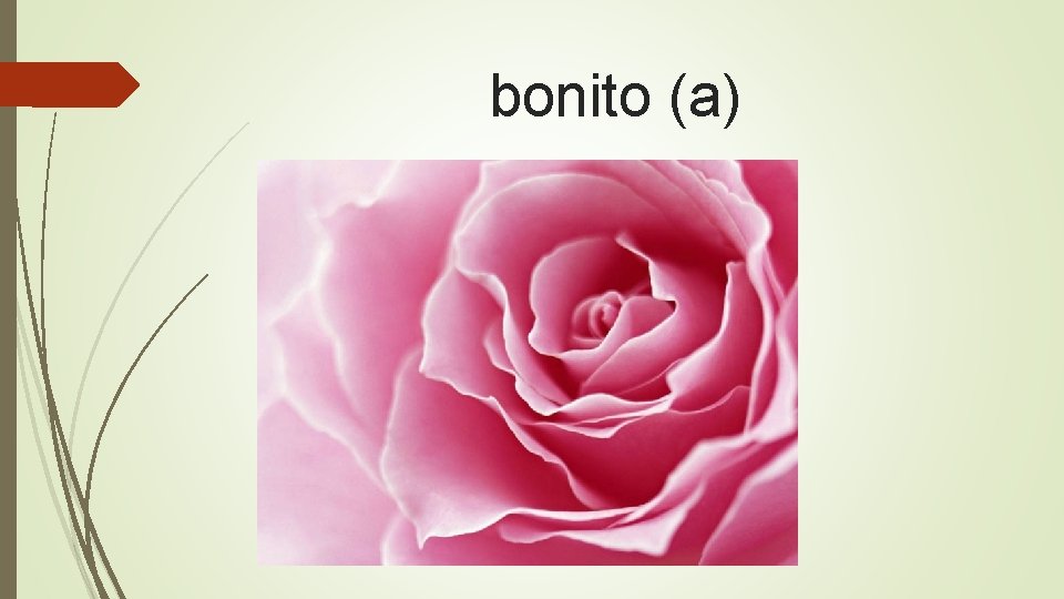 bonito (a) 