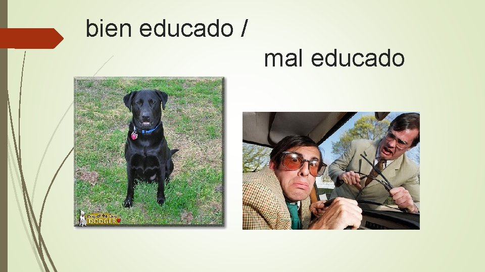 bien educado / mal educado (a) 