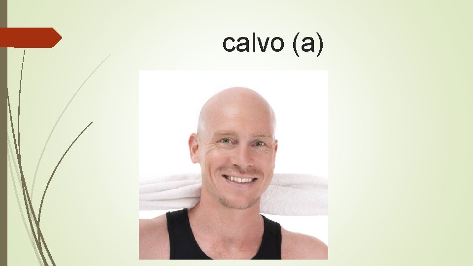calvo (a) 