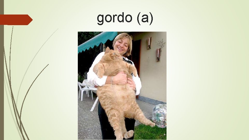 gordo (a) 