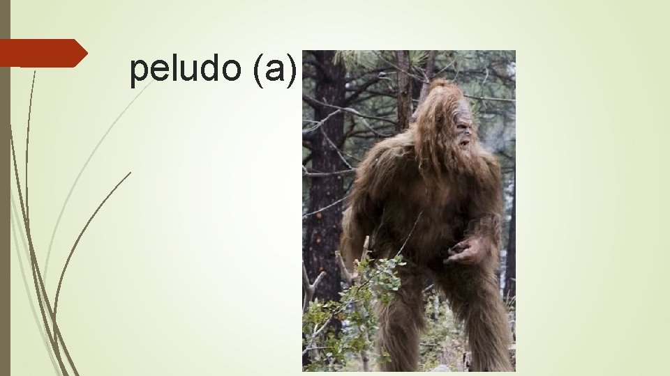 peludo (a) 