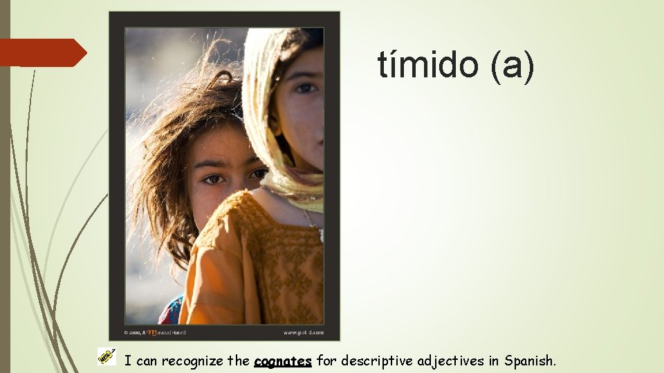 tímido (a) I can recognize the cognates for descriptive adjectives in Spanish. 
