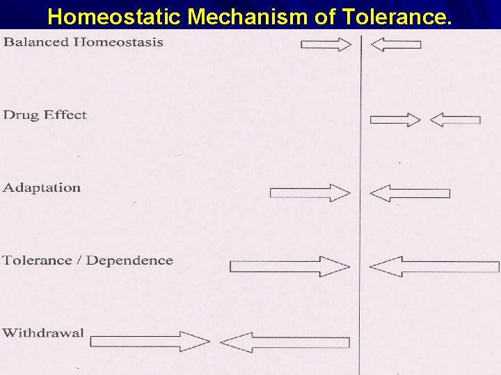 Homeostatic Mechanism of Tolerance. 