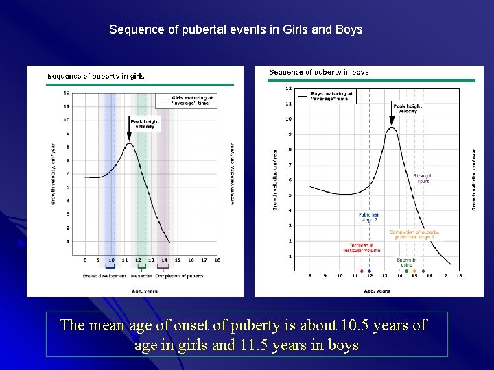 Precocious Puberty H Delshad M D Endocrinologist Puberty