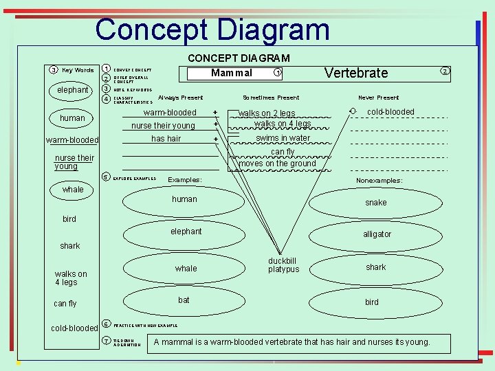 Concept Diagram 3 Key Words elephant CONCEPT DIAGRAM 1 Mammal 1 CONVEY CONCEPT 2