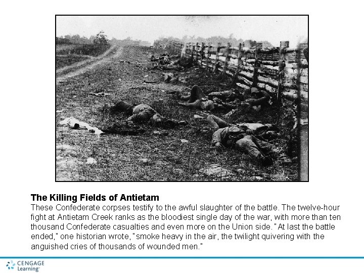 The Killing Fields of Antietam These Confederate corpses testify to the awful slaughter of