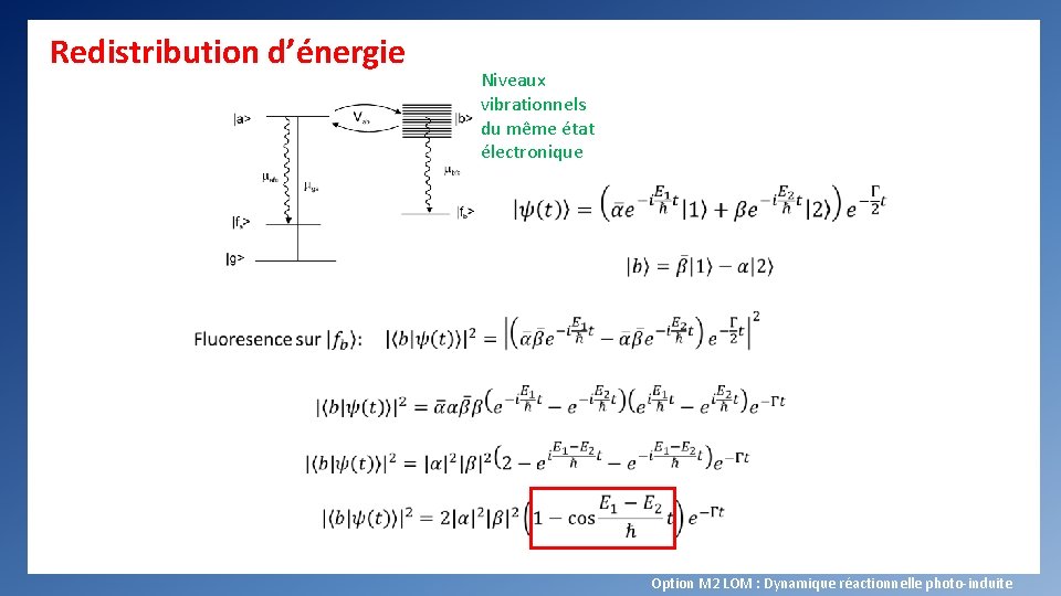 Redistribution d’énergie Niveaux vibrationnels du même état électronique Option M 2 LOM : Dynamique