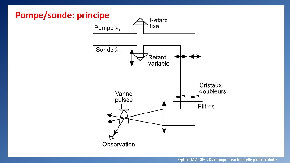 Pompe/sonde: principe Option M 2 LOM : Dynamique réactionnelle photo-induite 
