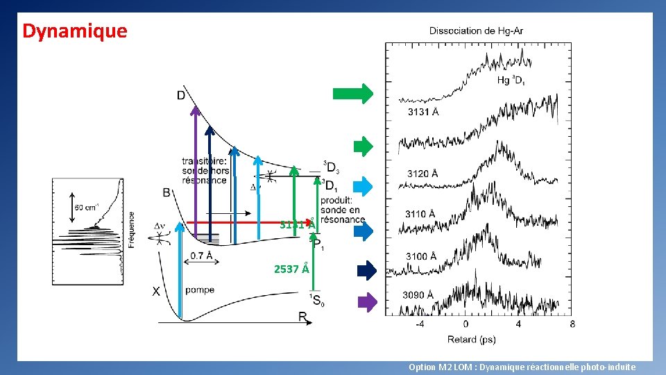 Dynamique 3131 Å 2537 Å Option M 2 LOM : Dynamique réactionnelle photo-induite 