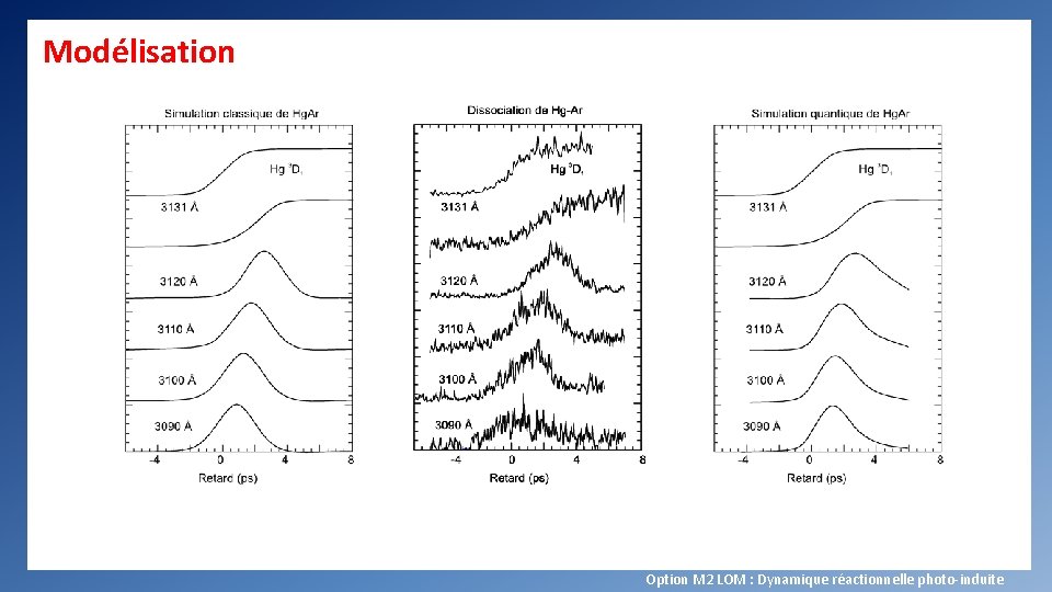 Modélisation Option M 2 LOM : Dynamique réactionnelle photo-induite 