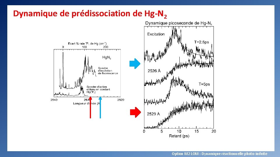 Dynamique de prédissociation de Hg-N 2 Option M 2 LOM : Dynamique réactionnelle photo-induite