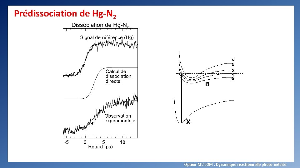Prédissociation de Hg-N 2 Option M 2 LOM : Dynamique réactionnelle photo-induite 