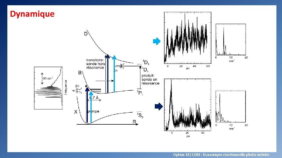 Dynamique Option M 2 LOM : Dynamique réactionnelle photo-induite 