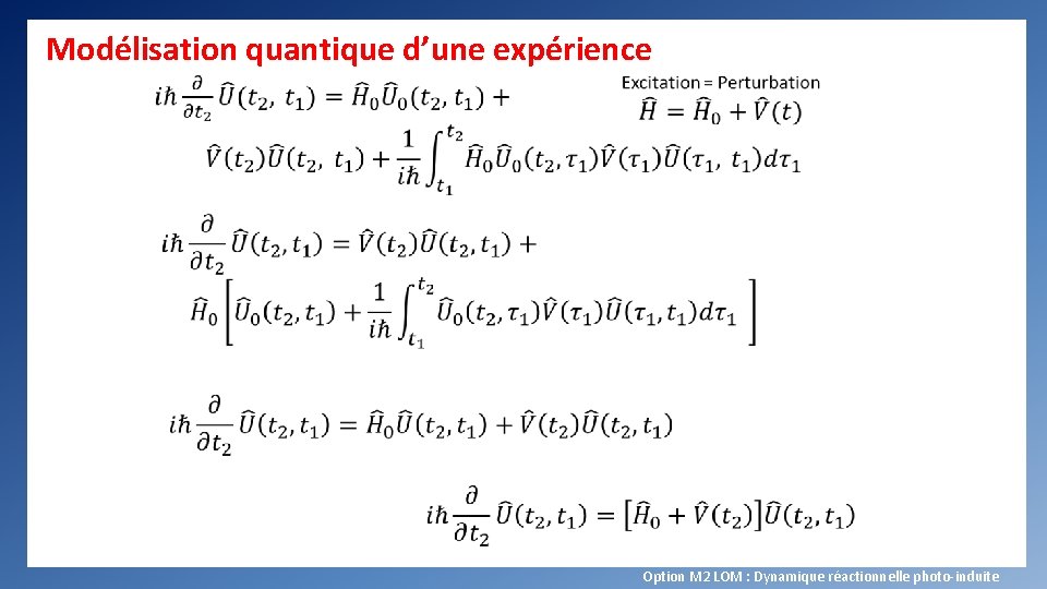 Modélisation quantique d’une expérience Option M 2 LOM : Dynamique réactionnelle photo-induite 