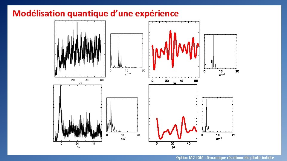 Modélisation quantique d’une expérience Option M 2 LOM : Dynamique réactionnelle photo-induite 