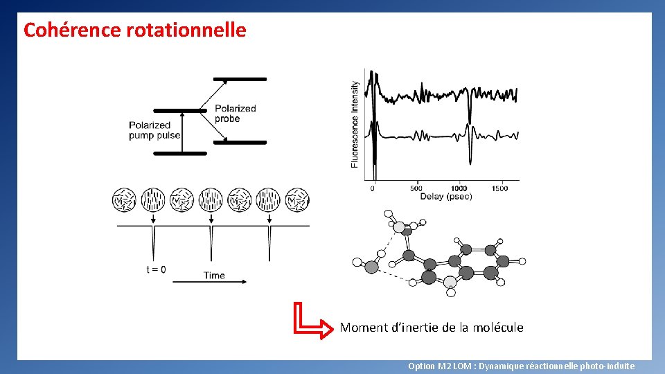 Cohérence rotationnelle Moment d’inertie de la molécule Option M 2 LOM : Dynamique réactionnelle