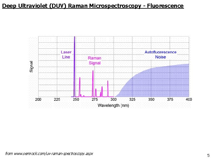 Deep Ultraviolet (DUV) Raman Microspectroscopy - Fluorescence from www. semrock. com/uv-raman-spectroscopy. aspx 5 Deep Ultraviolet (DUV) Raman Microspectroscopy - Fluorescence from www. semrock. com/uv-raman-spectroscopy. aspx 5