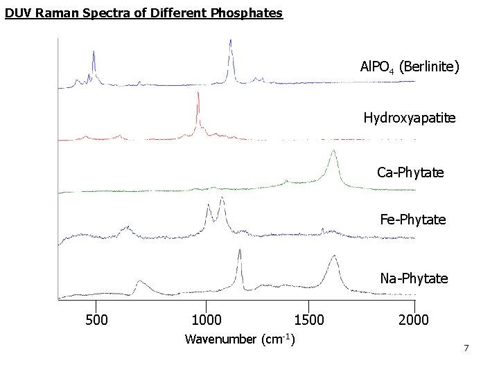 DUV Raman Spectra of Different Phosphates Al. PO 4 (Berlinite) Hydroxyapatite Ca-Phytate Fe-Phytate Na-Phytate DUV Raman Spectra of Different Phosphates Al. PO 4 (Berlinite) Hydroxyapatite Ca-Phytate Fe-Phytate Na-Phytate