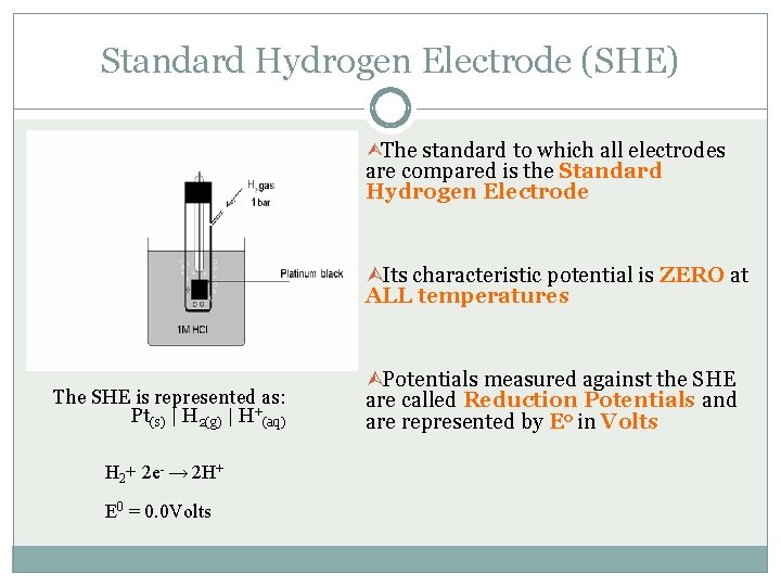 Standard Hydrogen Electrode (SHE) The standard to which all electrodes are compared is the