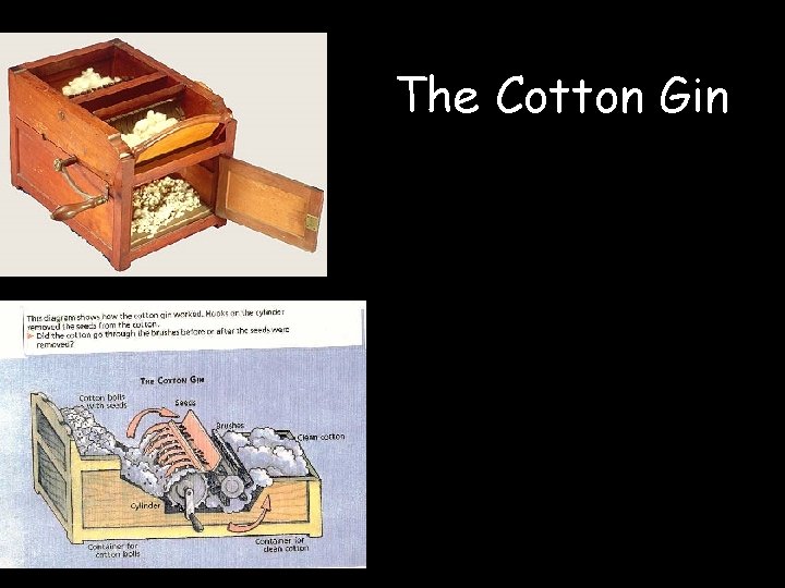 The Cotton Gin 
