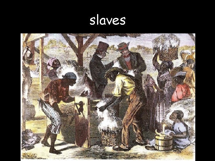 slaves 