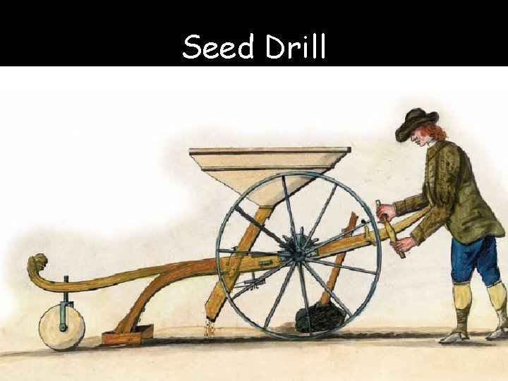 Seed Drill 