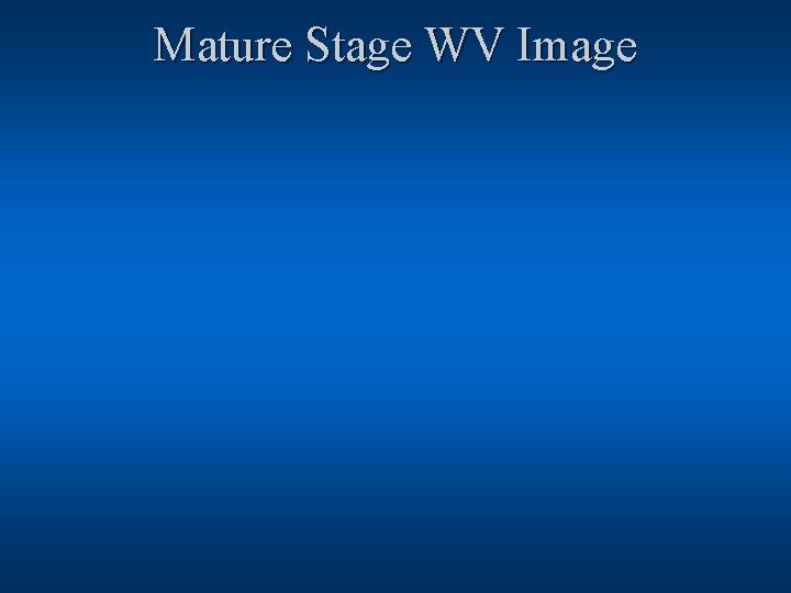 Mature Stage WV Image 