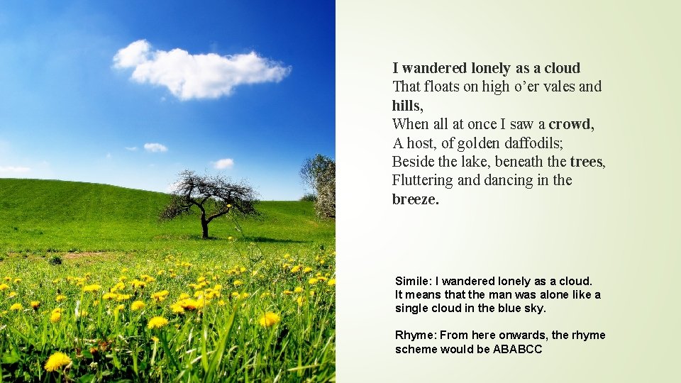 I wandered lonely as a cloud That floats on high o’er vales and hills,
