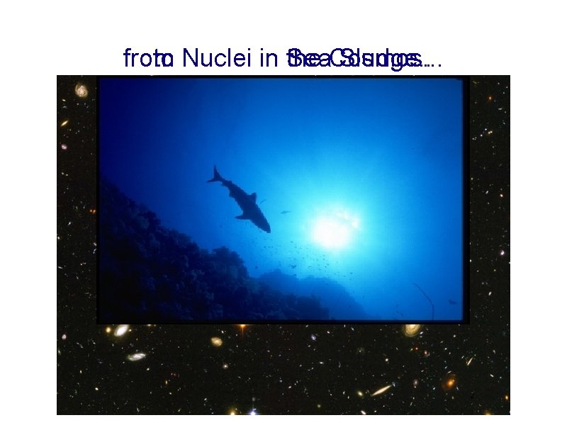 from to Nuclei in Sea the Cosmos. . . Sludge. . NIC-IX CERN June