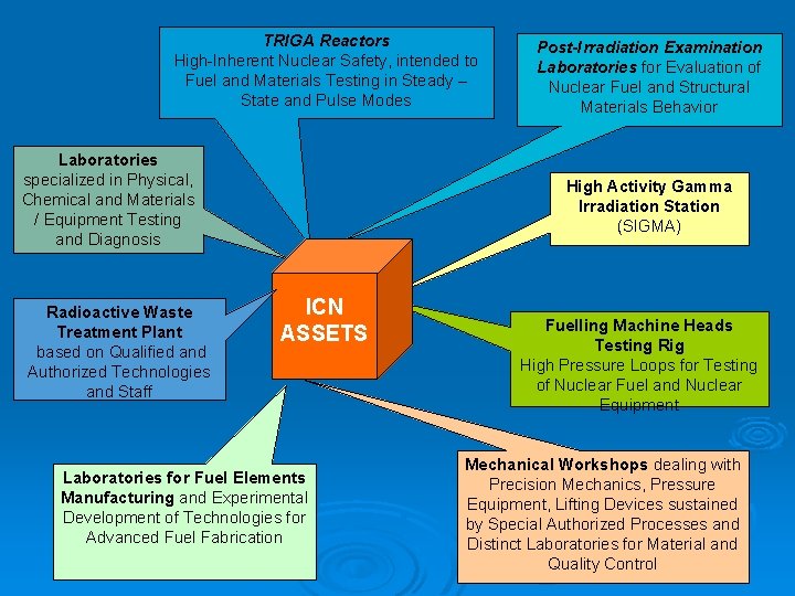 TRIGA Reactors High-Inherent Nuclear Safety, intended to Fuel and Materials Testing in Steady –
