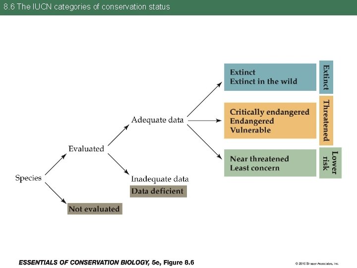 8. 6 The IUCN categories of conservation status 