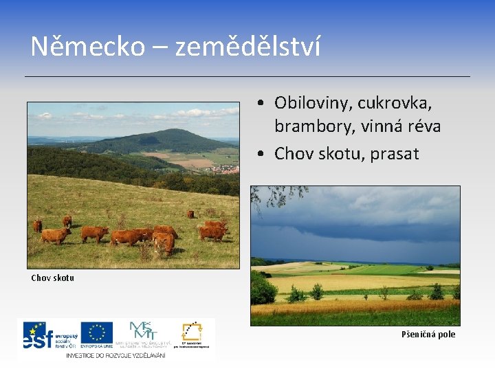 Německo – zemědělství • Obiloviny, cukrovka, brambory, vinná réva • Chov skotu, prasat Chov