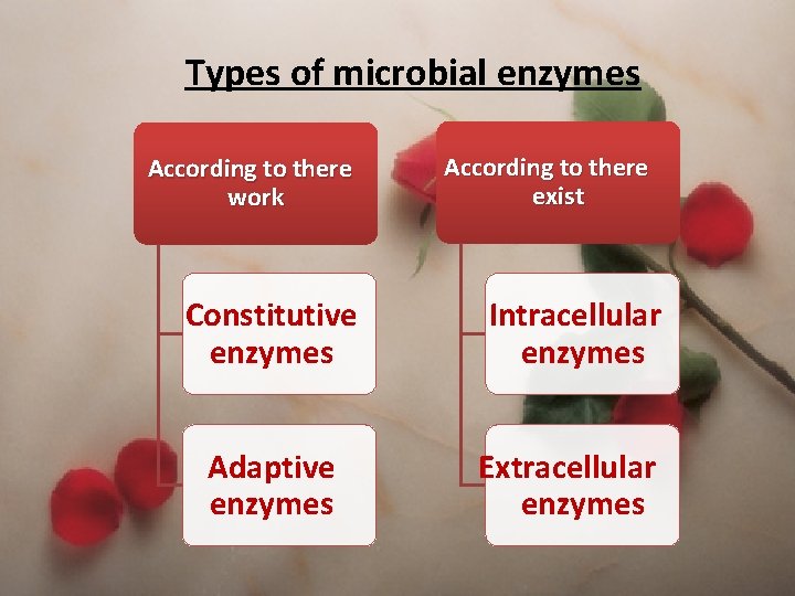 Types of microbial enzymes According to there work According to there exist Constitutive enzymes