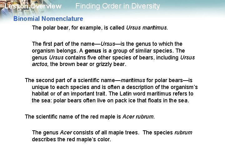 Lesson Overview Finding Order in Diversity Binomial Nomenclature The polar bear, for example, is