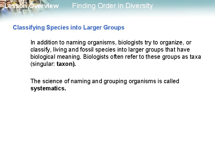 Lesson Overview Finding Order in Diversity Classifying Species into Larger Groups In addition to