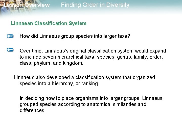 Lesson Overview Finding Order in Diversity Linnaean Classification System How did Linnaeus group species