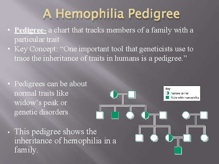 SECTION 2 HUMAN GENETIC DISORDERS 7 2 d