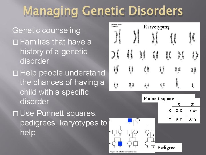 SECTION 2 HUMAN GENETIC DISORDERS 7 2 d