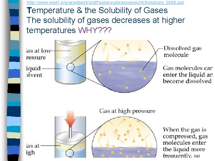 http: //www. wsd 1. org/grantpark/staff/patenaude/powerpoint/Solutions_30 SE. ppt Temperature & the Solubility of Gases The