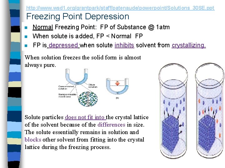 http: //www. wsd 1. org/grantpark/staff/patenaude/powerpoint/Solutions_30 SE. ppt Freezing Point Depression n Normal Freezing Point: