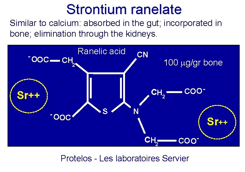 Strontium ranelate Similar to calcium: absorbed in the gut; incorporated in bone; elimination through