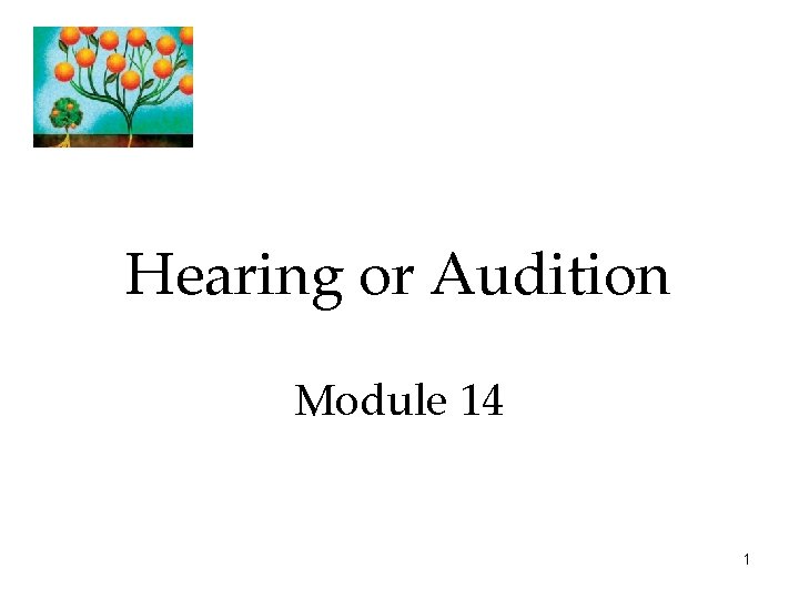 Hearing or Audition Module 14 1 