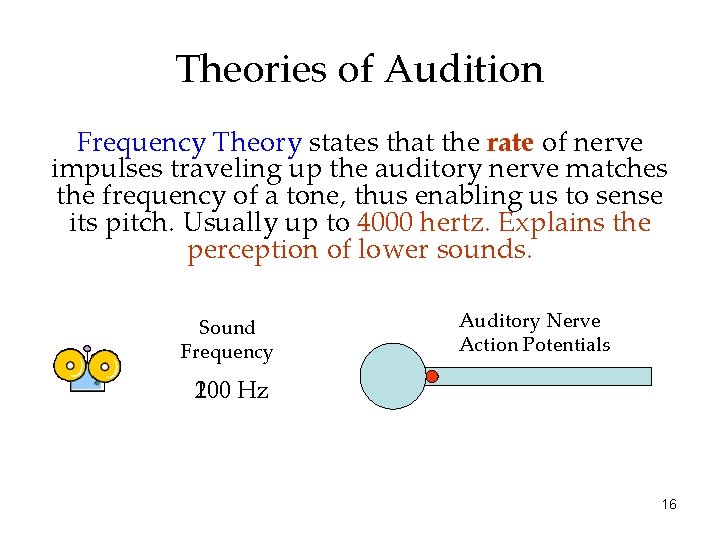 Theories of Audition Frequency Theory states that the rate of nerve impulses traveling up