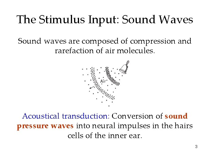 The Stimulus Input: Sound Waves Sound waves are composed of compression and rarefaction of