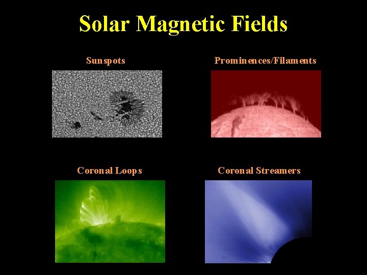 Solar Magnetic Fields Sunspots Coronal Loops Prominences/Filaments Coronal Streamers 