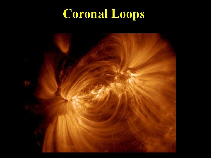 Coronal Loops 