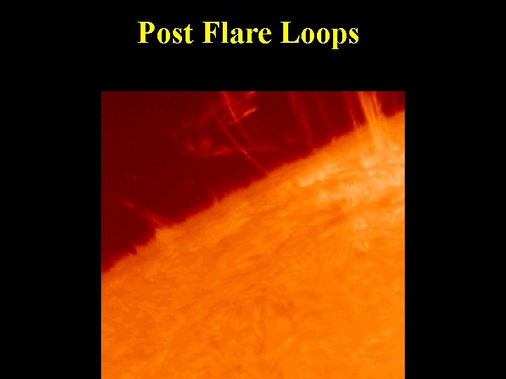 Post Flare Loops 