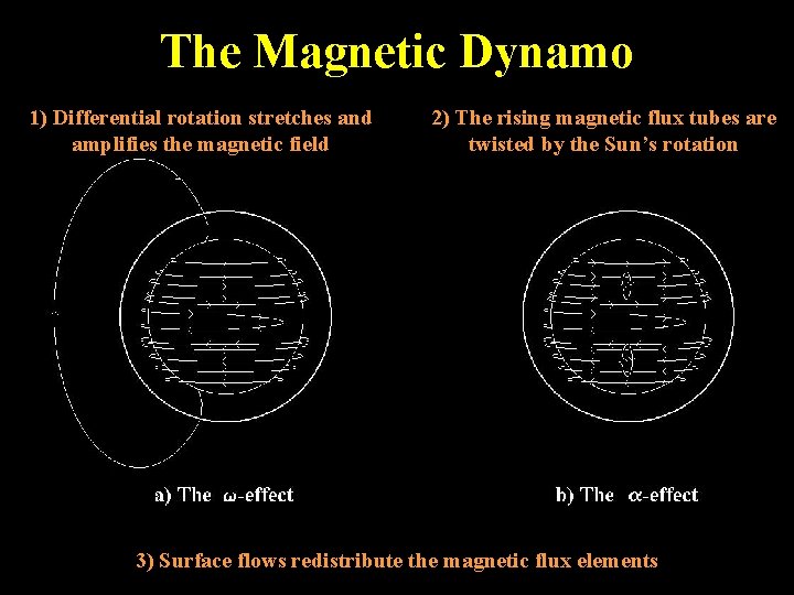 The Magnetic Dynamo 1) Differential rotation stretches and amplifies the magnetic field 2) The